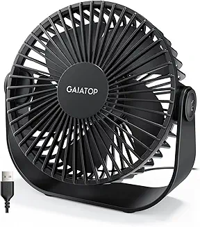 Fan