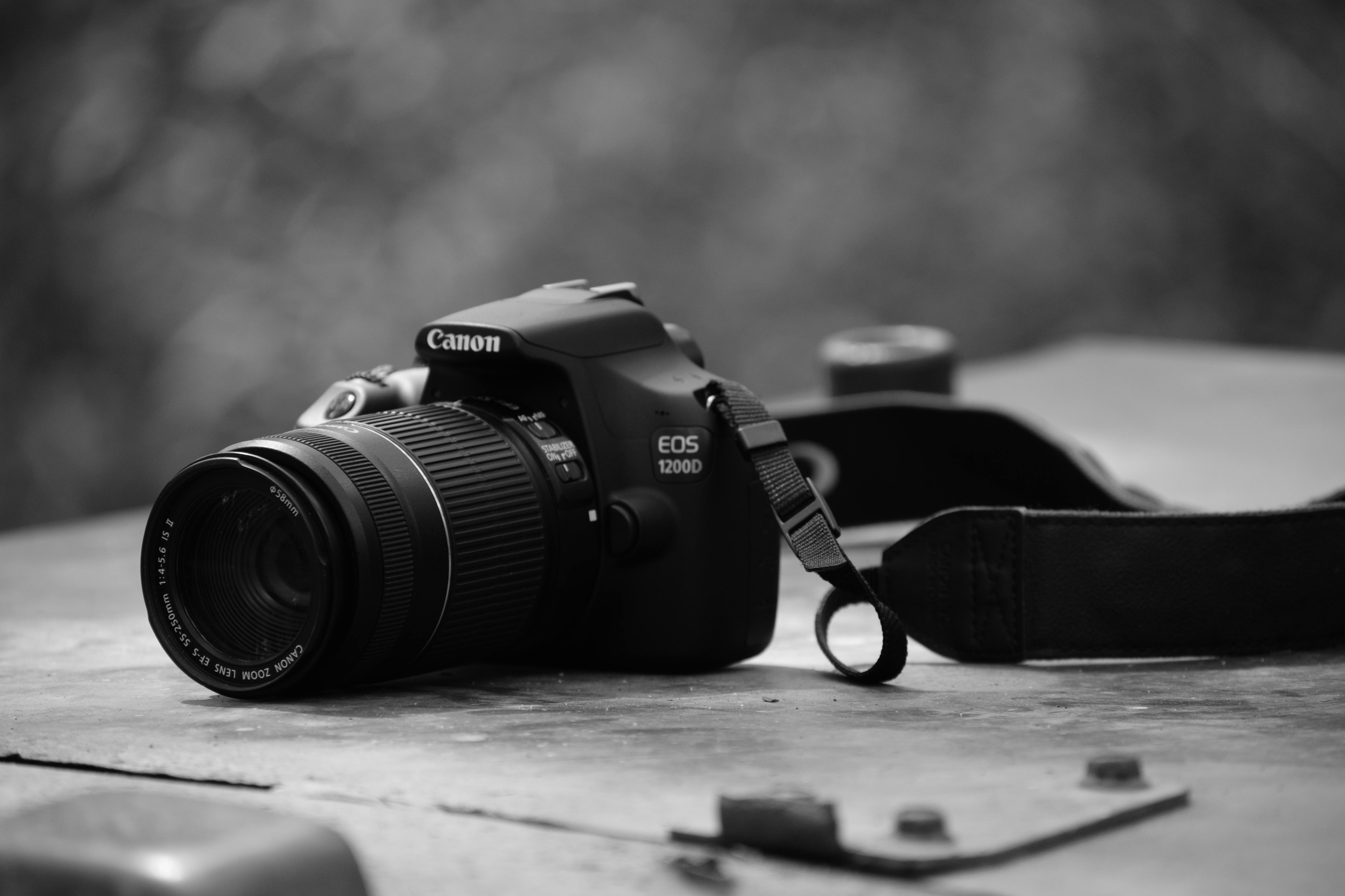 Canon 5D